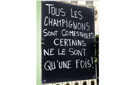 Champignons